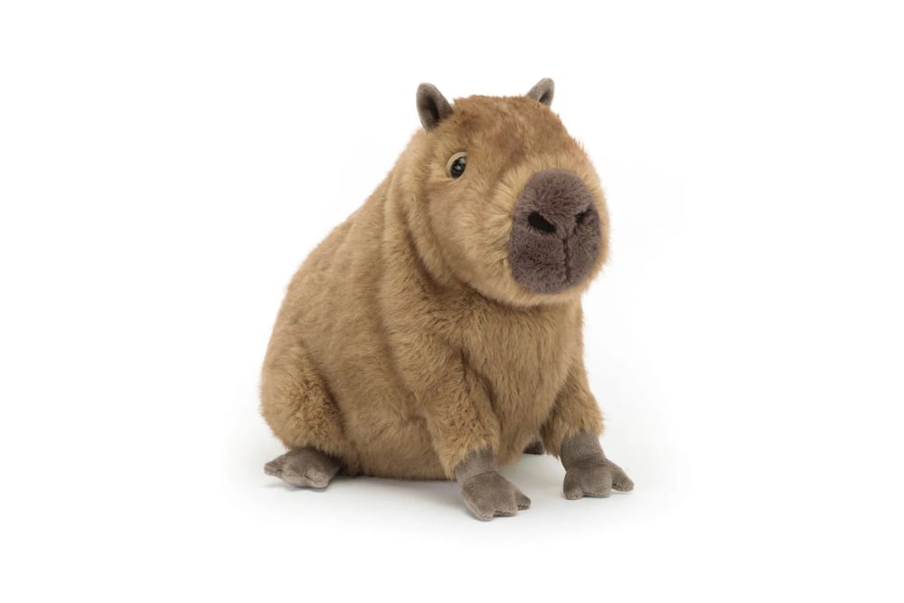 Thú bông Capybara 2026: chọn dáng ôm, dáng ngồi hay mẫu Clyde?