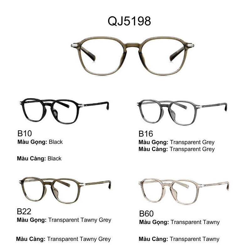 Gọng kính QINA QJ5198.B22.C